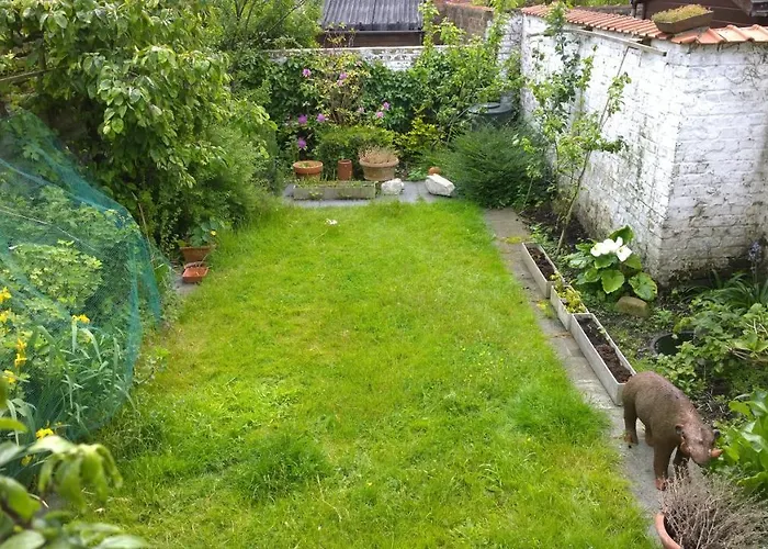 B&B Oostende